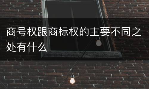 商号权跟商标权的主要不同之处有什么
