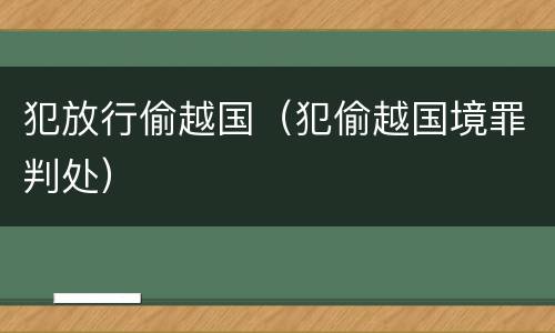 犯放行偷越国（犯偷越国境罪判处）