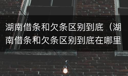 湖南借条和欠条区别到底（湖南借条和欠条区别到底在哪里）