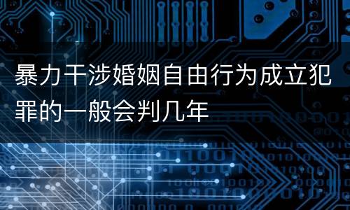 暴力干涉婚姻自由行为成立犯罪的一般会判几年