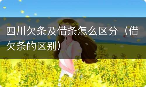 四川欠条及借条怎么区分（借欠条的区别）