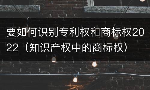 要如何识别专利权和商标权2022（知识产权中的商标权）