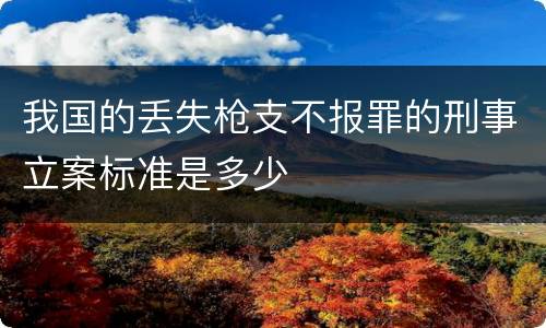我国的丢失枪支不报罪的刑事立案标准是多少