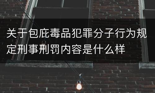 关于包庇毒品犯罪分子行为规定刑事刑罚内容是什么样
