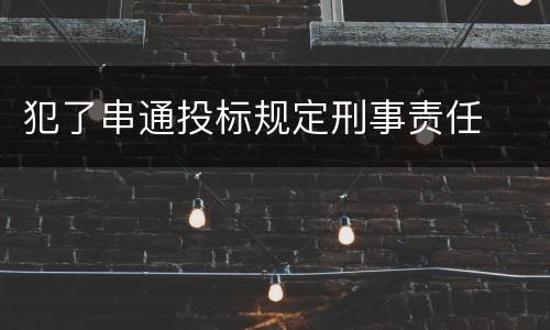 犯了串通投标规定刑事责任