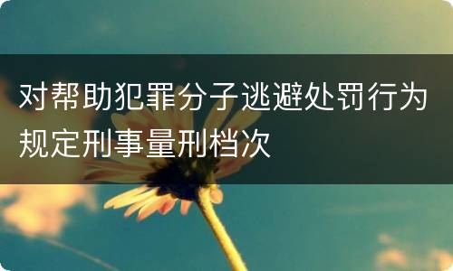 对帮助犯罪分子逃避处罚行为规定刑事量刑档次