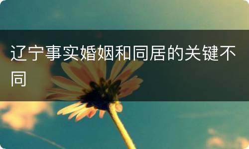 辽宁事实婚姻和同居的关键不同