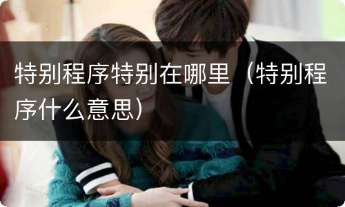 特别程序特别在哪里（特别程序什么意思）