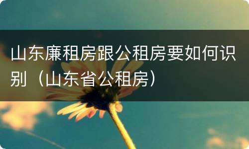 山东廉租房跟公租房要如何识别（山东省公租房）