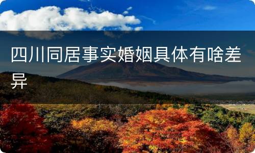 四川同居事实婚姻具体有啥差异