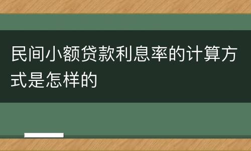 民间小额贷款利息率的计算方式是怎样的