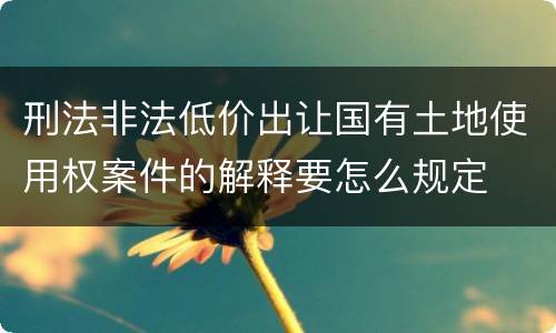 刑法非法低价出让国有土地使用权案件的解释要怎么规定