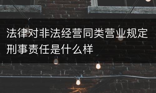 法律对非法经营同类营业规定刑事责任是什么样