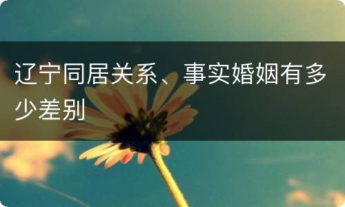 辽宁同居关系、事实婚姻有多少差别
