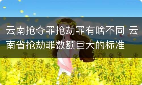 云南抢夺罪抢劫罪有啥不同 云南省抢劫罪数额巨大的标准