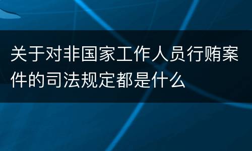 关于对非国家工作人员行贿案件的司法规定都是什么
