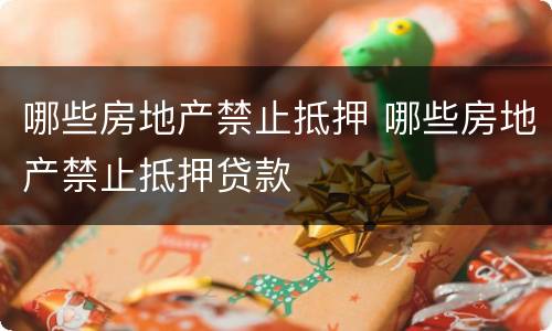 哪些房地产禁止抵押 哪些房地产禁止抵押贷款