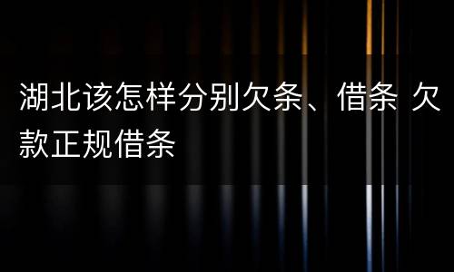 湖北该怎样分别欠条、借条 欠款正规借条