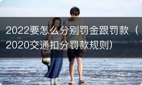 2022要怎么分别罚金跟罚款（2020交通扣分罚款规则）