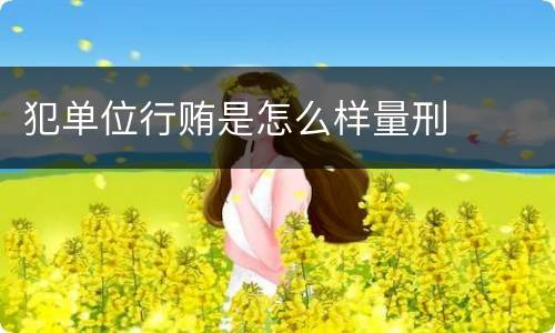 犯单位行贿是怎么样量刑