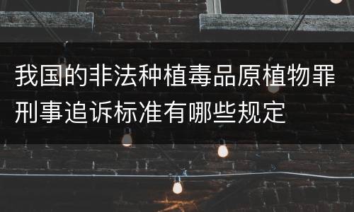 我国的非法种植毒品原植物罪刑事追诉标准有哪些规定