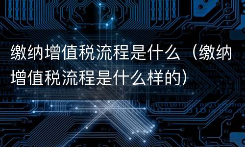 缴纳增值税流程是什么（缴纳增值税流程是什么样的）