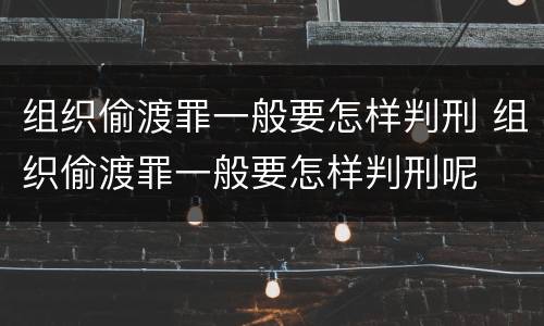 组织偷渡罪一般要怎样判刑 组织偷渡罪一般要怎样判刑呢