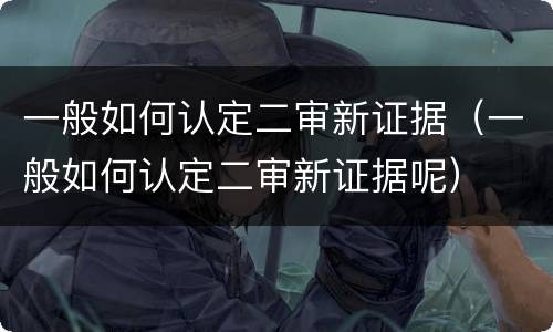 一般如何认定二审新证据（一般如何认定二审新证据呢）