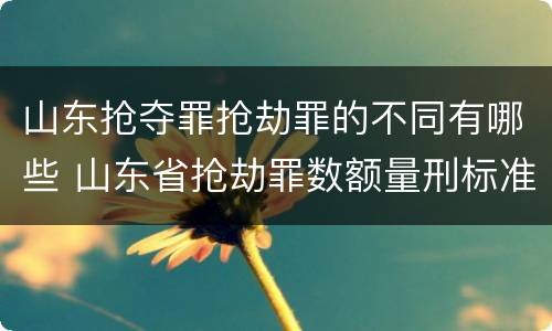 山东抢夺罪抢劫罪的不同有哪些 山东省抢劫罪数额量刑标准