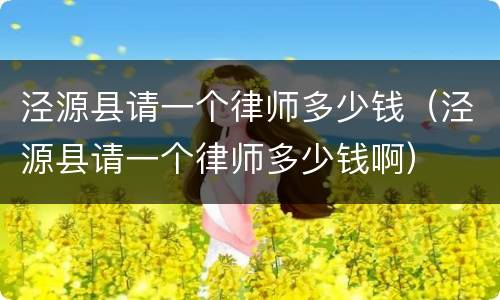 泾源县请一个律师多少钱（泾源县请一个律师多少钱啊）