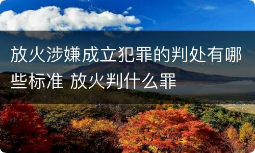 放火涉嫌成立犯罪的判处有哪些标准 放火判什么罪