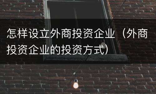 怎样设立外商投资企业（外商投资企业的投资方式）