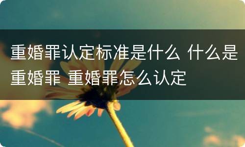 重婚罪认定标准是什么 什么是重婚罪 重婚罪怎么认定