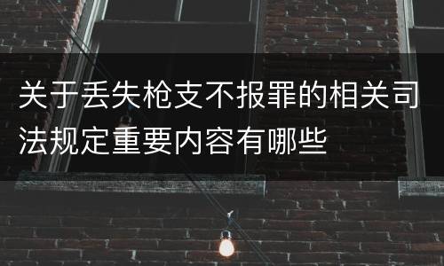 关于丢失枪支不报罪的相关司法规定重要内容有哪些