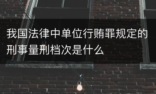 我国法律中单位行贿罪规定的刑事量刑档次是什么
