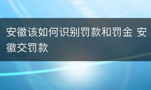 安徽该如何识别罚款和罚金 安徽交罚款