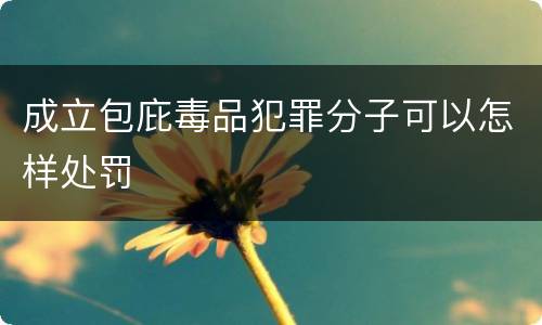 成立包庇毒品犯罪分子可以怎样处罚