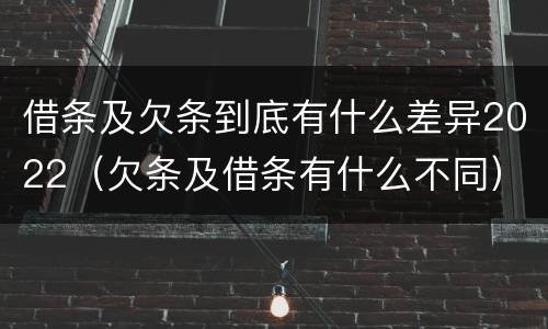 借条及欠条到底有什么差异2022（欠条及借条有什么不同）