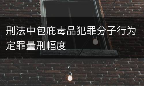 刑法中包庇毒品犯罪分子行为定罪量刑幅度