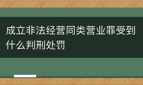 成立非法经营同类营业罪受到什么判刑处罚