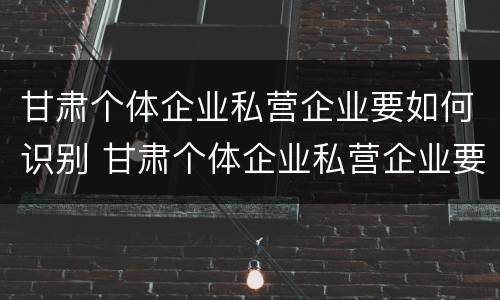 甘肃个体企业私营企业要如何识别 甘肃个体企业私营企业要如何识别企业