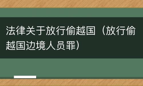 法律关于放行偷越国（放行偷越国边境人员罪）