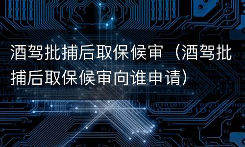 酒驾批捕后取保候审（酒驾批捕后取保候审向谁申请）