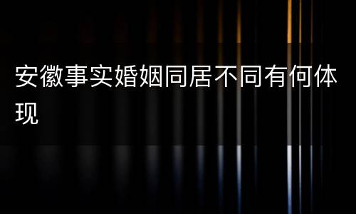 安徽事实婚姻同居不同有何体现