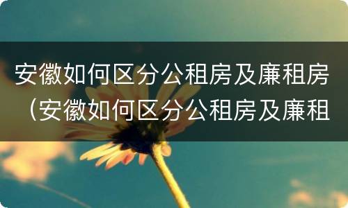 安徽如何区分公租房及廉租房（安徽如何区分公租房及廉租房区别）