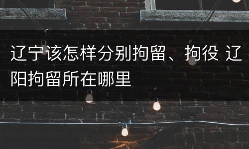 辽宁该怎样分别拘留、拘役 辽阳拘留所在哪里