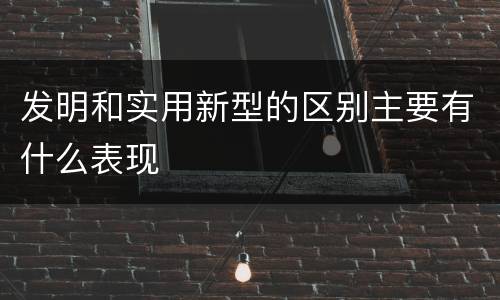发明和实用新型的区别主要有什么表现