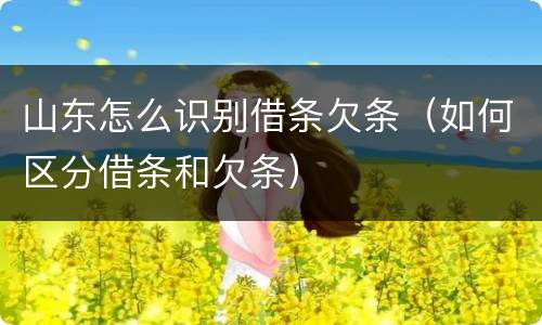 山东怎么识别借条欠条（如何区分借条和欠条）