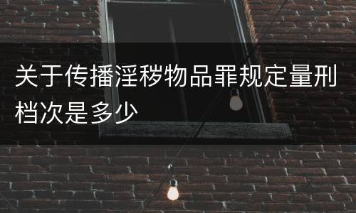 关于传播淫秽物品罪规定量刑档次是多少