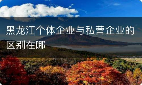 黑龙江个体企业与私营企业的区别在哪